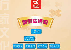 组织结构